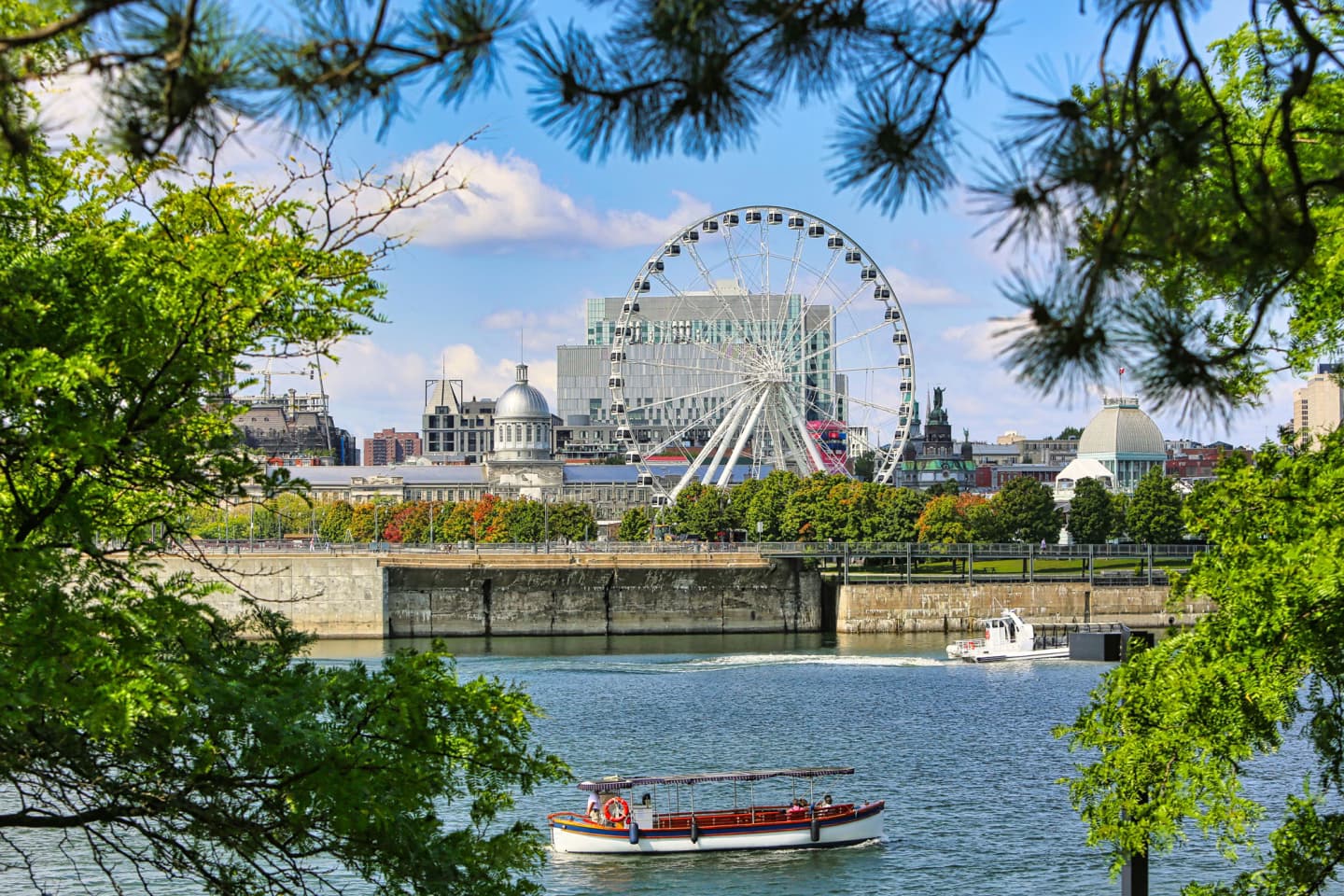 Montreal waterfront with Ferris wheel, historic buildings, and boat on a sunny day framed by green trees.