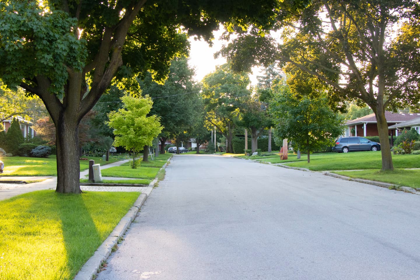 Tree-lined residential street in North York, with houses and cars in the background.