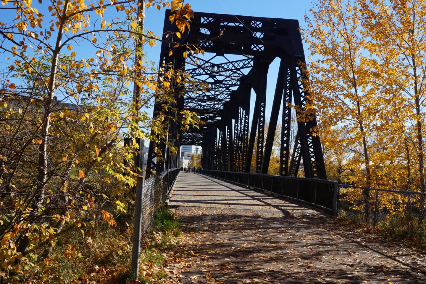 Old metal bridge surrounded by autumn trees in Red Deer, Alberta