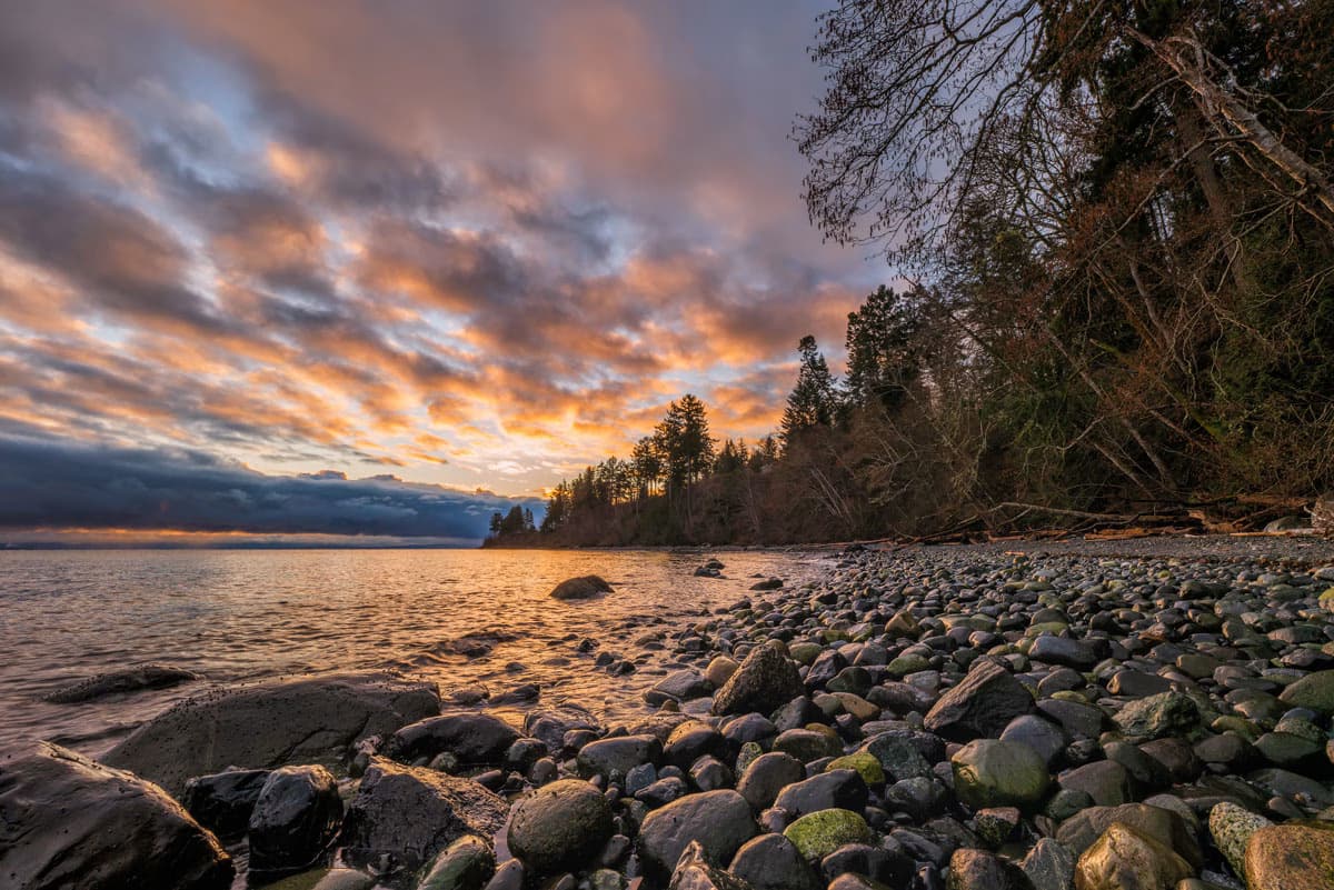 Rocky shoreline at sunset near Courtenay, with trees along the coast and a colourful sky.