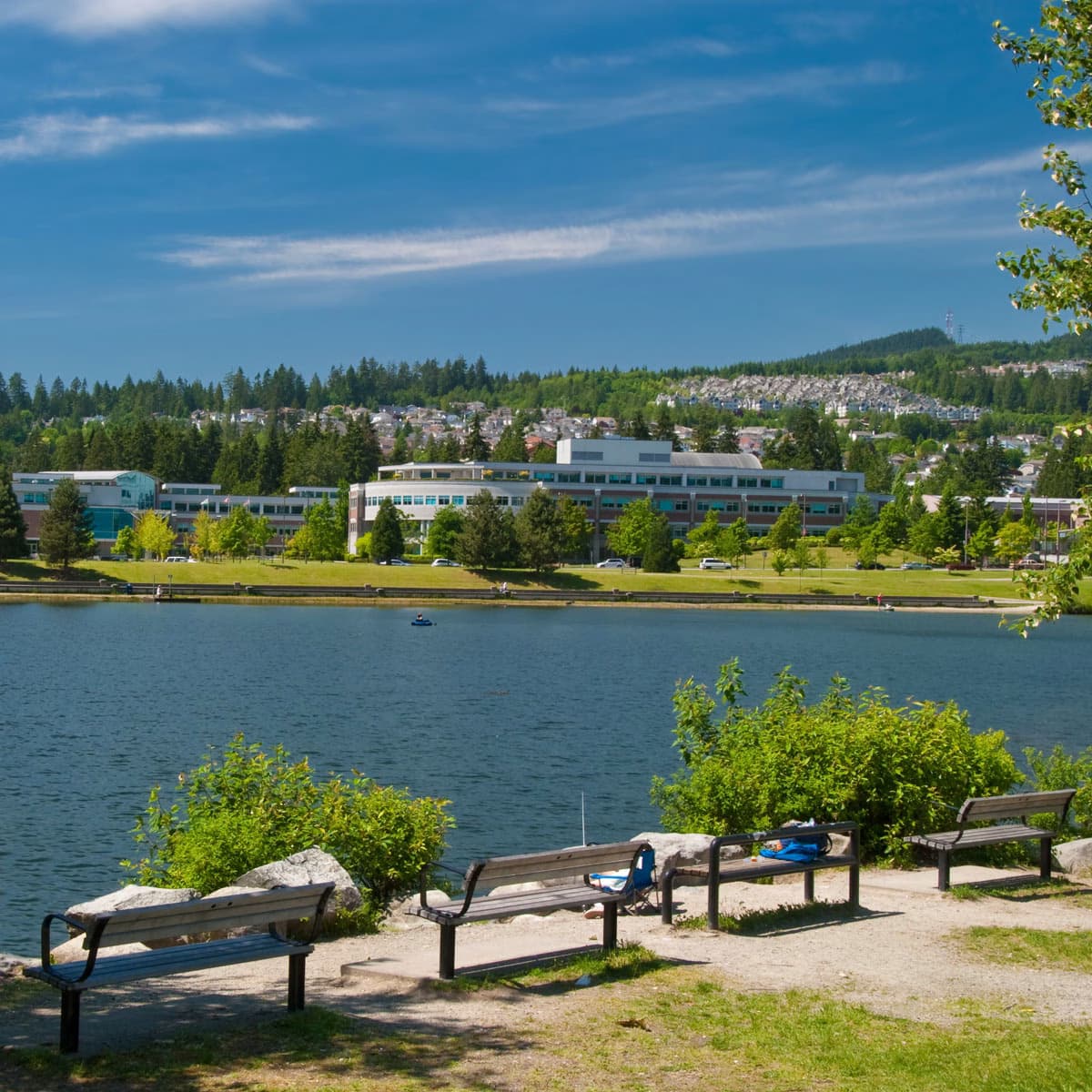 Park with benches overlooking a lake in Coquitlam, BC.