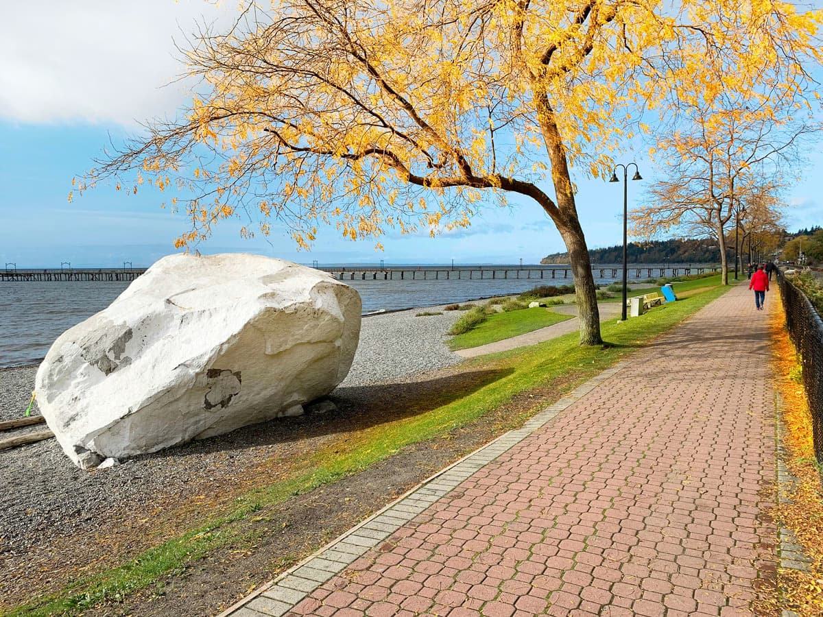 Scenic view of White Rock Beach in British Columbia with a large white boulder, tree-lined pathway, and a pier in the background.