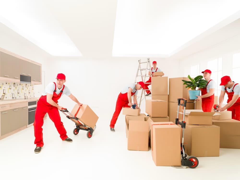 Team of movers in red uniforms handling various moving tasks, including stacking boxes, using a dolly, and arranging items in a bright room.